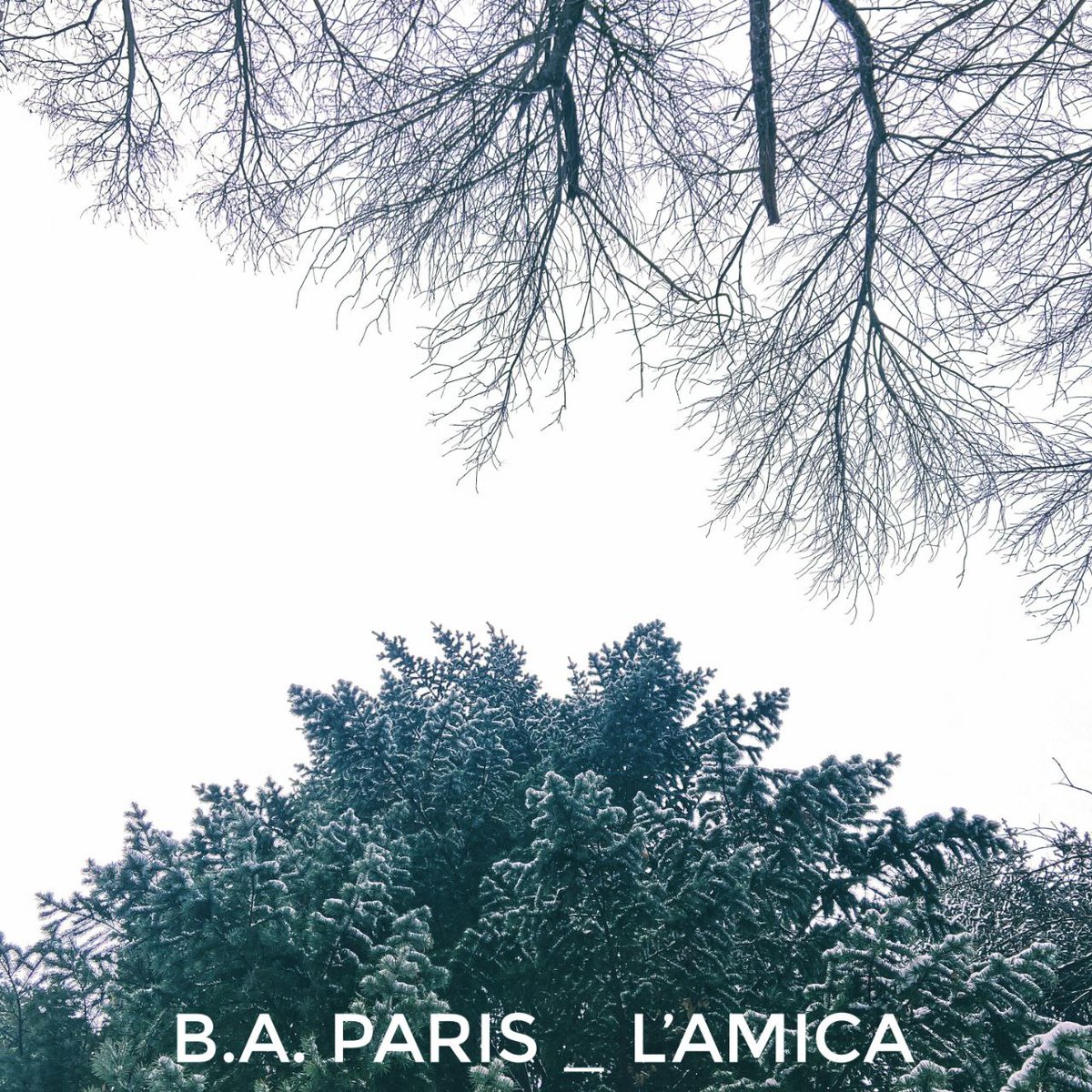 Conosci davvero chi ti sta vicino?

luoghidilibri.it/2025/02/21/b-a…

#appuntidiviaggio