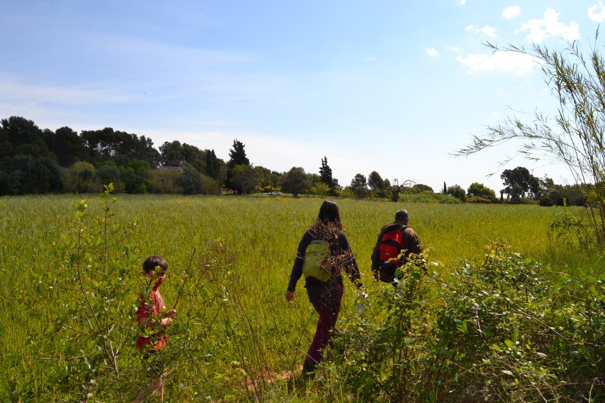 Aturem el Pla de Ponent tweet media