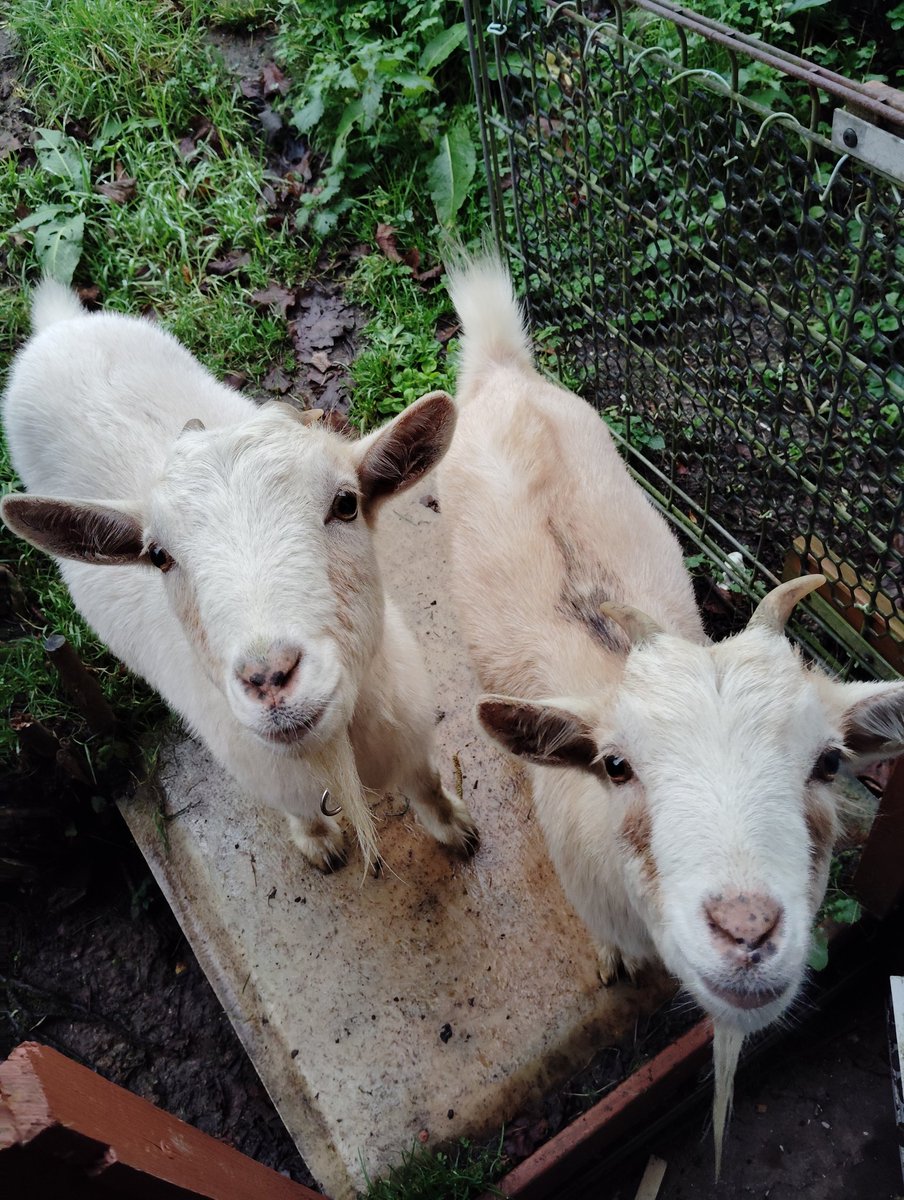 Veust est venu vous expliquer ce que c'était qu'un album et Infinit est venu vous expliquer ce que c'était qu'une mixtape