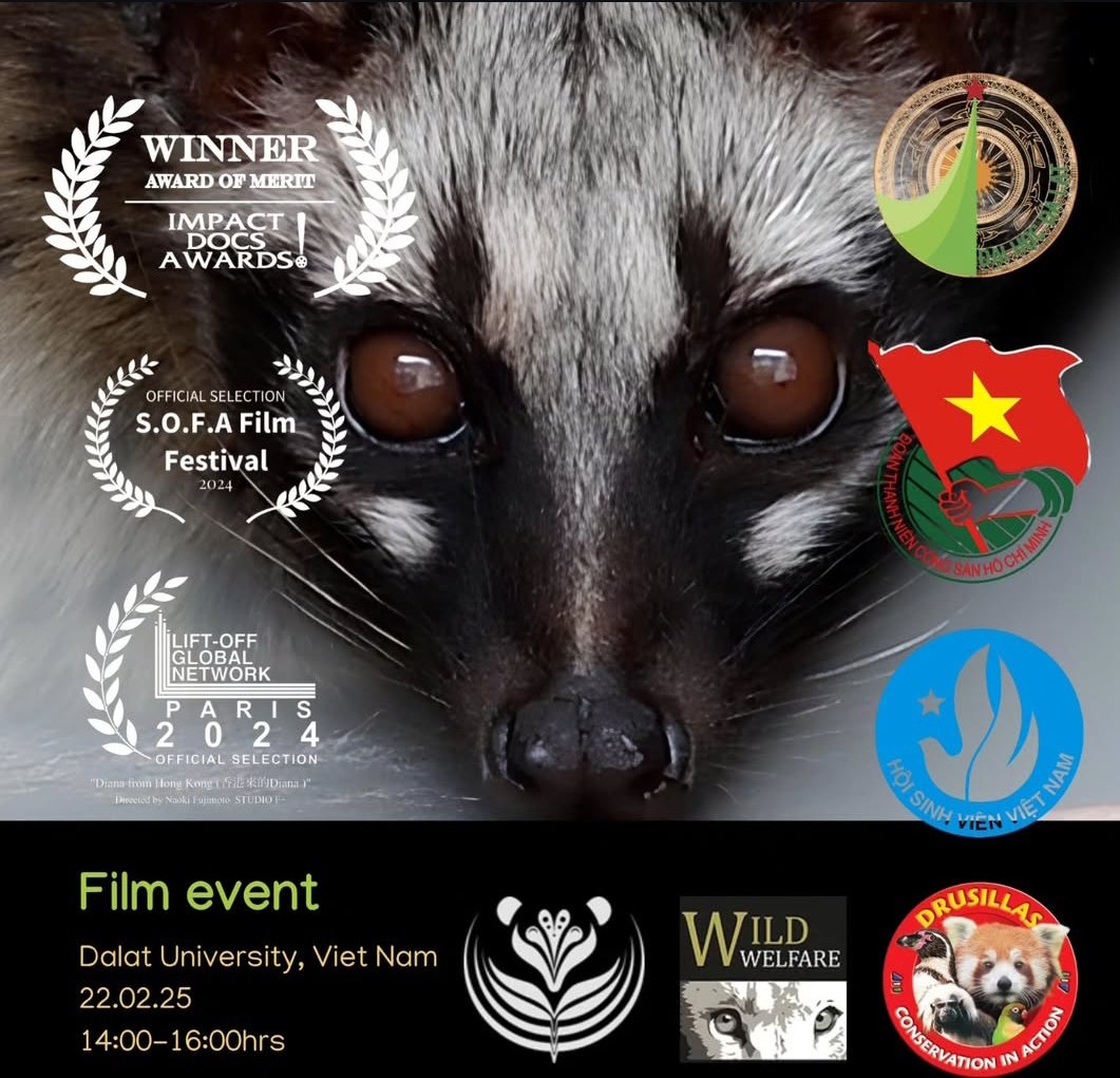 We are delighted to share that tomorrow there will be a screening of our documentary Civet Coffee: Rare to Reckless, at Dalat University. We are expecting high attendance and to see everyone engaging with our work.

Special thanks our new partners Conservation in Action!