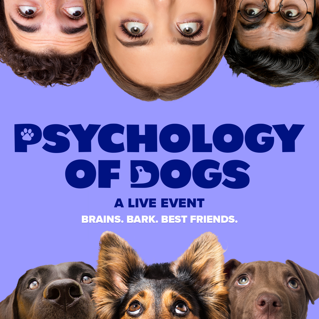 📣 Show Announcement

🐶 The Psychology of Dogs
📅 Friday 14 November 2025

Join us for an unforgettable evening where our dog behaviour expert will give insight into your dogs behaviours and how to better interpret them.

🎟 Tickets on sale Friday 28 February at 10am.