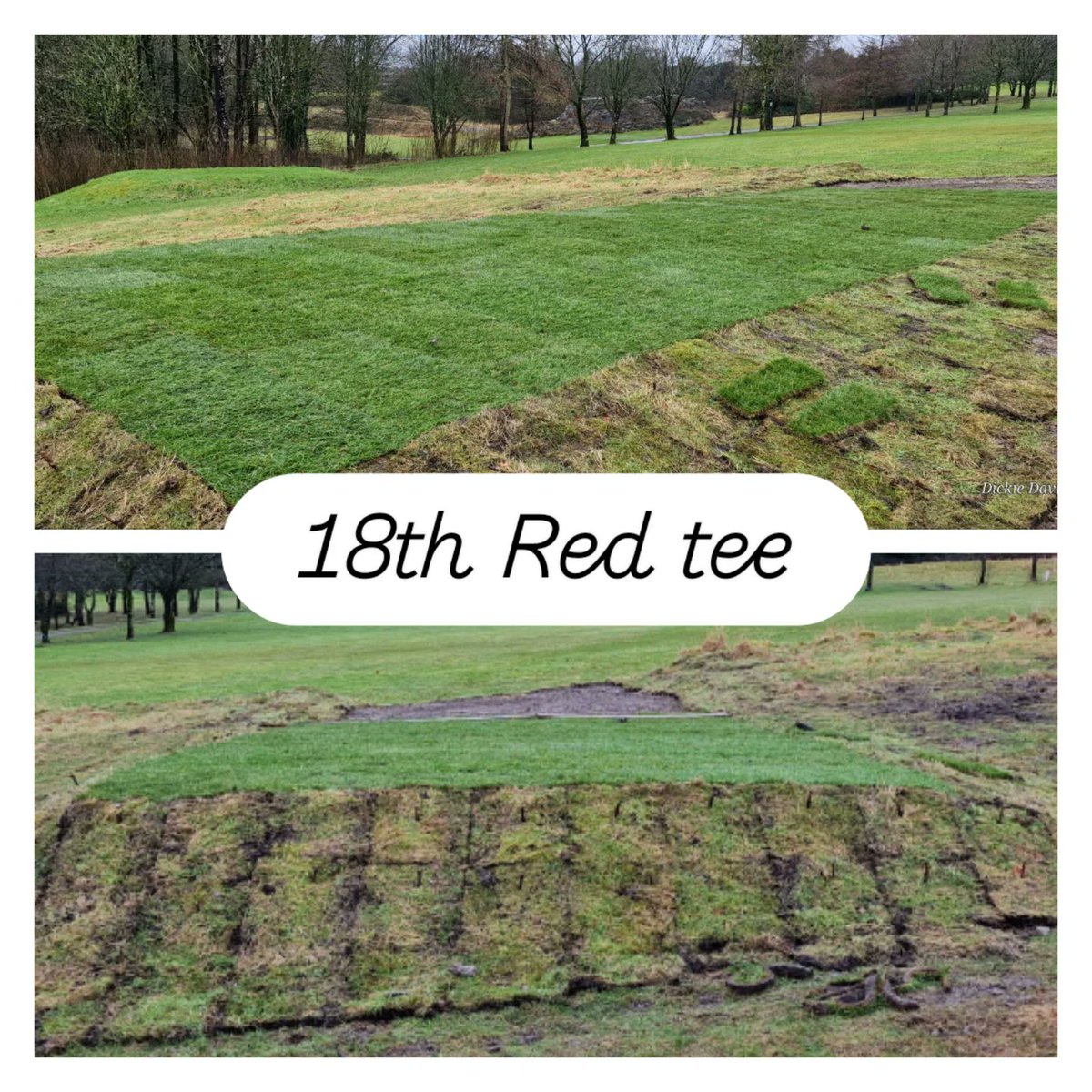 4 new Red Tees constructed over winter.  All that is left is to edge them in and topdress them.
#greenkeeping #greenkeeper  #winterwork #lakesgolf #golflakes #kendal #Golf