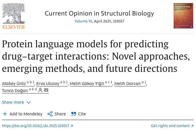 Tunca Doğan tweet media