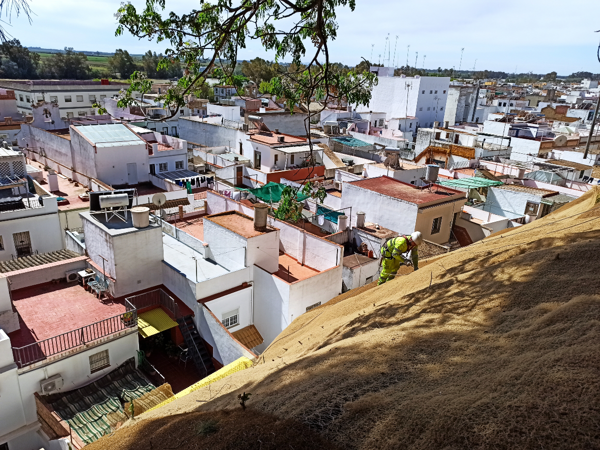 Aljarafe Informa tweet media