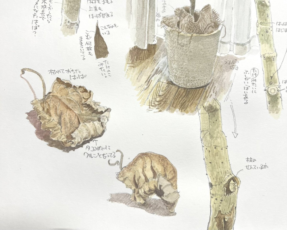物への理解を深めるには、なぜこうなっているのか、と疑問を持つところから始める。"形や状態の意味"を考えると、ただ目に映る景色の一つ一つがそこに存在していて手触りがあり、実在する物体として現実味を帯びてくる。 