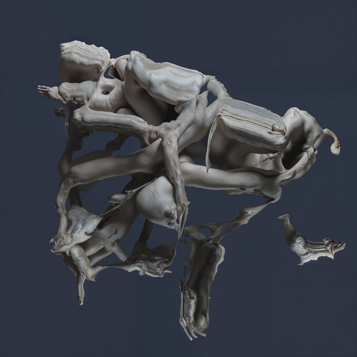 L'bank | tweet media