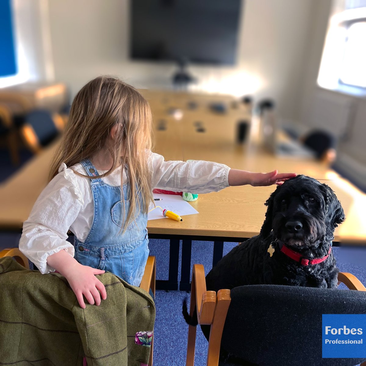 Forbes Professional tweet media