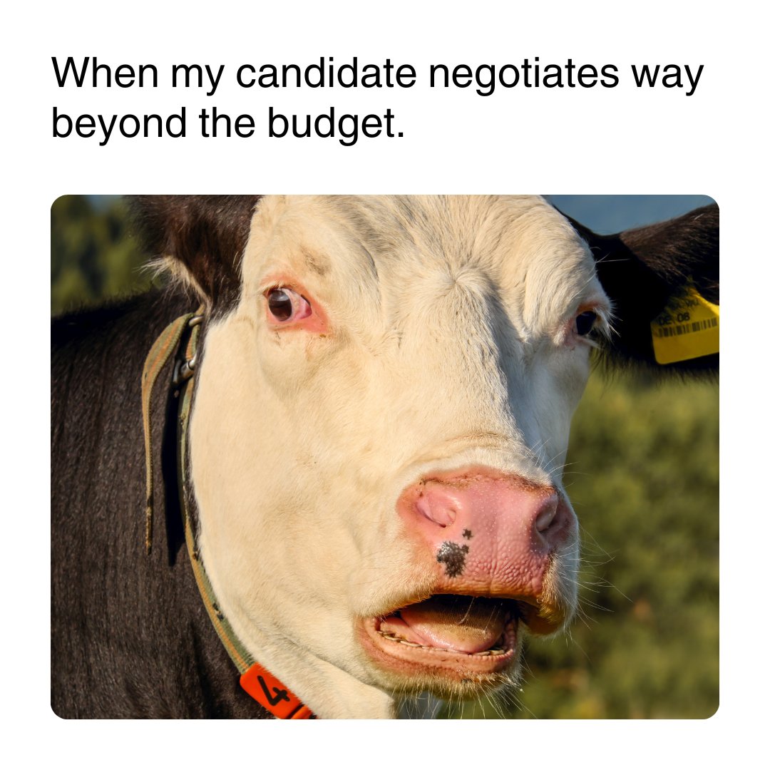 Blockwork_IT's tweet image. #RecruitmentLife #Candidates #BlockworkIT #RecruitmentMemes