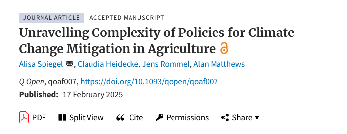 Alisa Spiegel tweet media