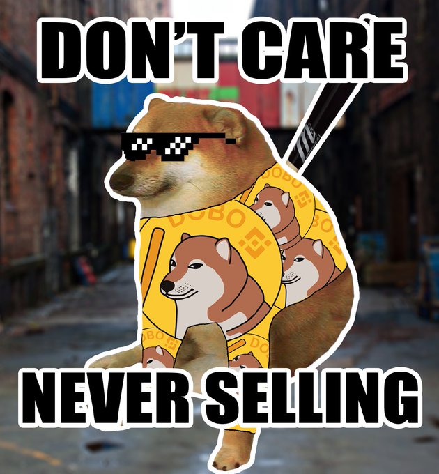 n00dlefry's tweet photo. @fuelkek Dogebonk $DOBO on #BSC. #solana trenches are dead, long live @cz_binance
Contract renounced, first crypto in space #sorryelon and a mission to bonk all the memecoins. https://t.co/OOnht24WdN