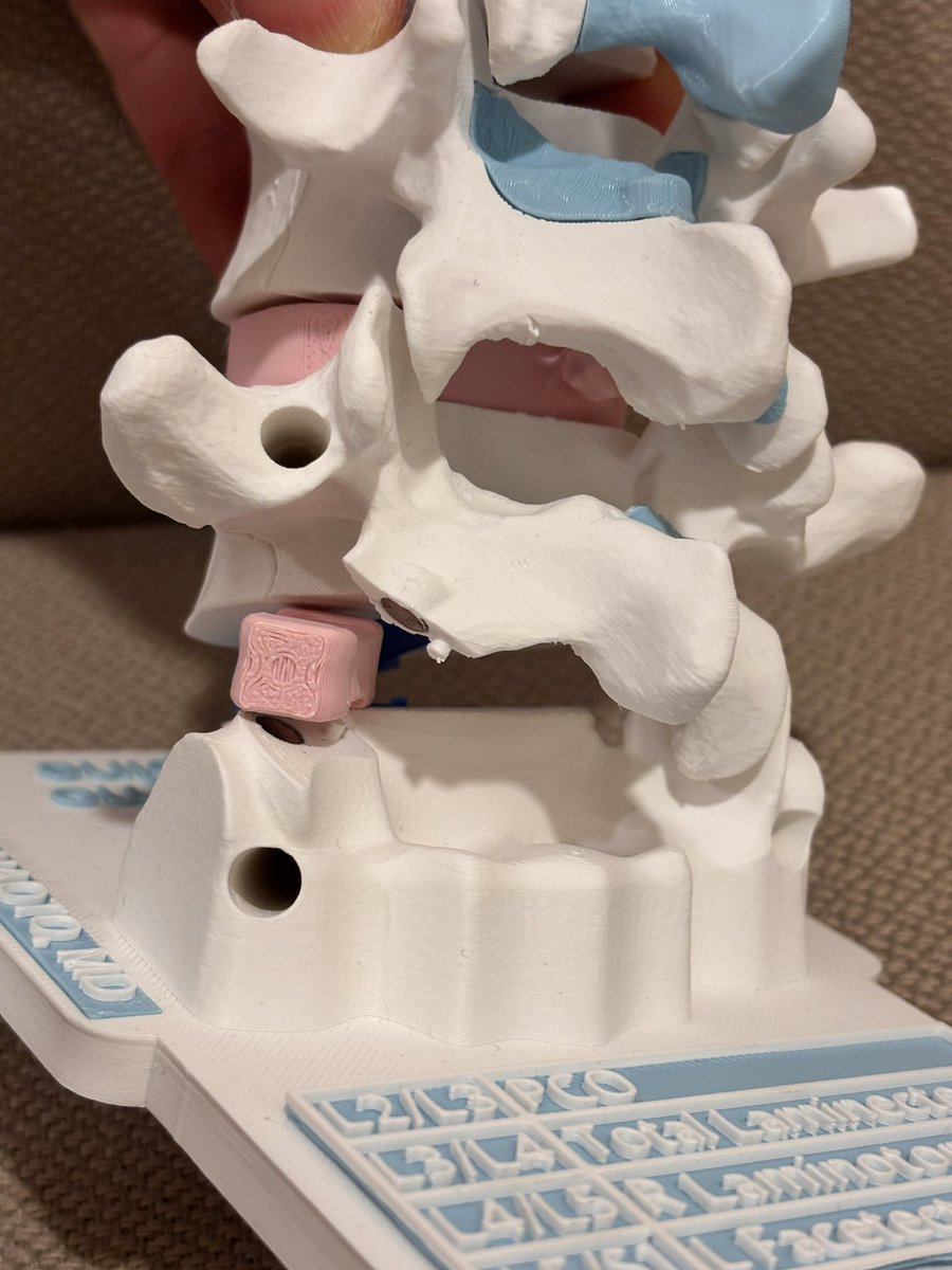 整乃はむ🐹🦴 tweet media