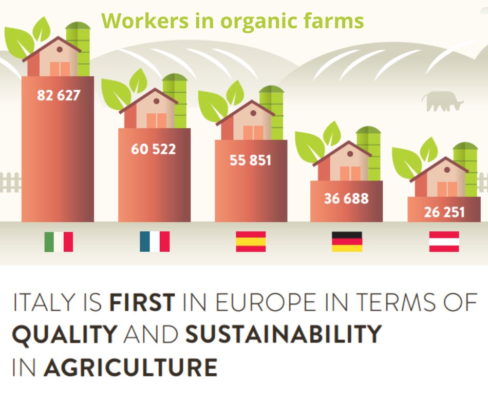 ItalyinNOR_ISL's tweet photo. 🇮🇹 🍆Italy ranks first in #europe for the number of organic farms with 82,627 workers, ahead of France (60,522), Spain (55,851), Germany (36,688) and Austria (26,251), 🍝and ranks first for the number of registered and protected food and wine products.
#Symbola #organicfarming https://t.co/9Gd1PMOJSt