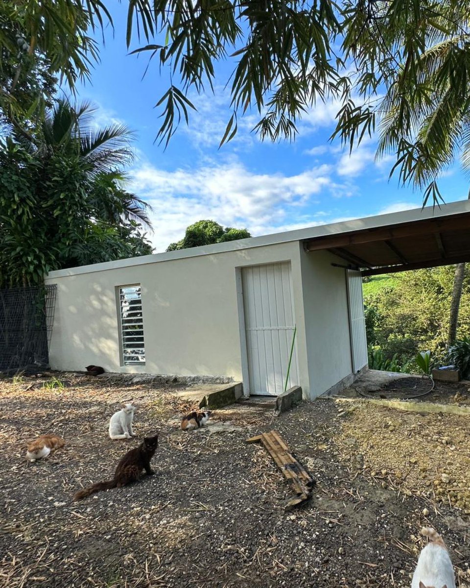 🐾 Ethics For Animals 🐾 tweet media