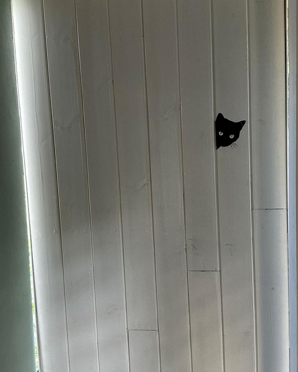 Ces derniers mois, l’association l’Île des quatre pattes s'est mobilisée pour venir en aide aux chats errants de Guadeloupe. Le projet ? Construire une nouvelle chatterie pour accueillir ces chats en difficulté.

#EthicsForAnimals #ProtectionAnimale #Aider #ActuAnimaux