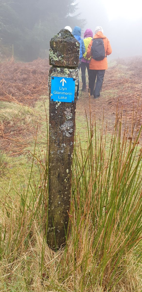 chrisjay tweet media