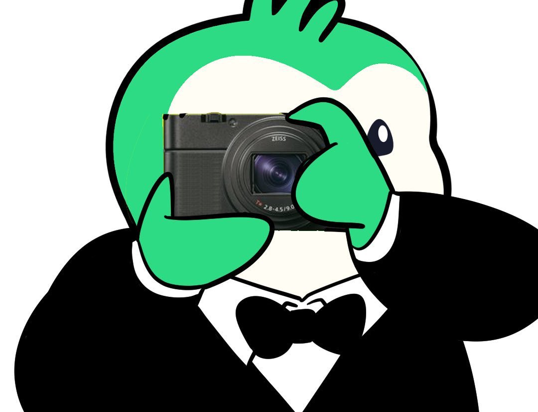 Marianne tweet media