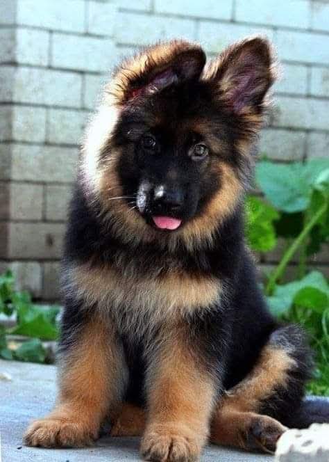 Great Photography 🥰❤