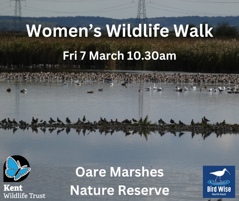 Research shows many women don't feel safe accessing remote locations to enjoy nature
We've teamed up with <a href="/KentWildlife/">Kent Wildlife Trust</a> for a Women's Wildlife walk at Oare Marshes next month in celebration of #InternationalWomensDay 
Book here 🔗👉northkent.birdwise.org.uk/events/iwd-wom…
#IWD #birdwise #KWT