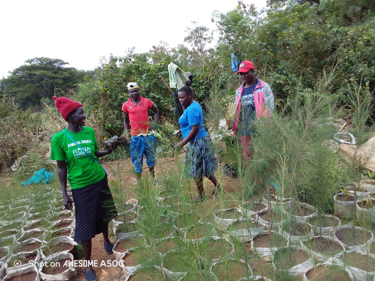 RonaFoundation's tweet image. #capacitybuilding

Rona staff members learn sustainable tree business practices, gaining skills to boost incomes, restore the environment, and build resilient livelihoods. 

#VoiceToAction #jumuikasikika

@ForumCivESA