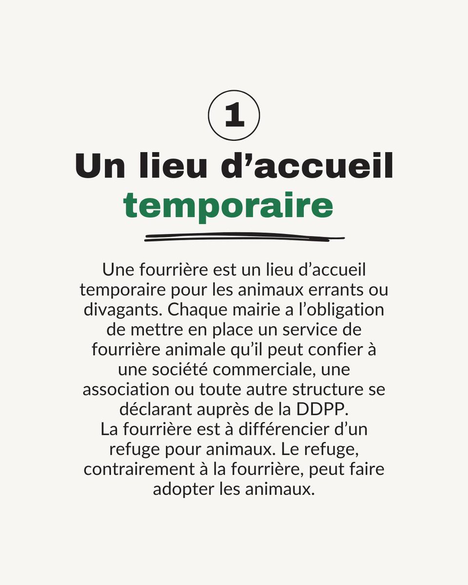 🐾 Ethics For Animals 🐾 tweet media