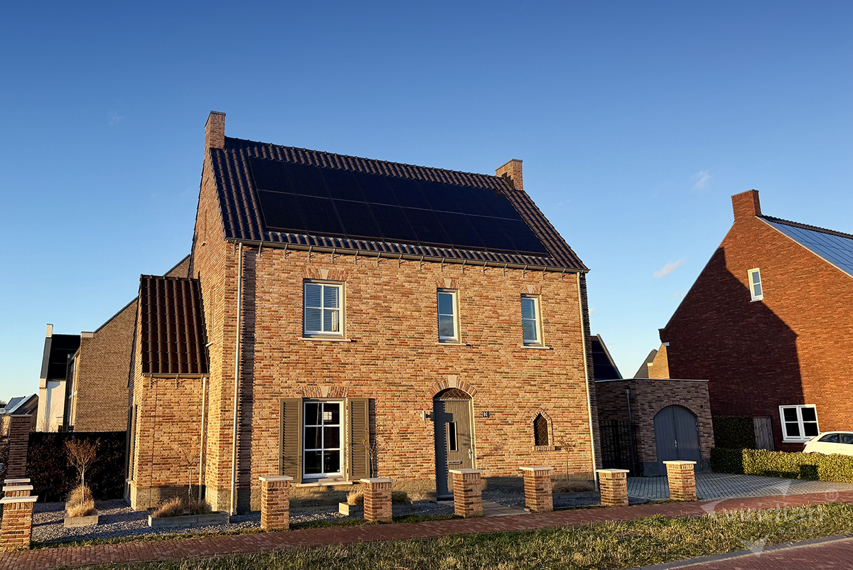 Viridian Solar Benelux tweet media