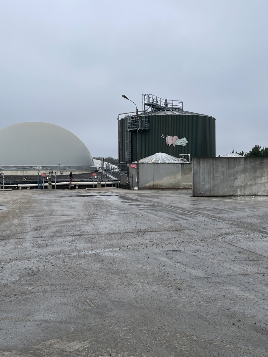 Visite de terrain dans le cadre du projet #IDEA de l'
<a href="/UnivPoitiers/">Université de Poitiers</a> et de la <a href="/FonPoitiersUniv/">Fondation Poitiers Université</a> pour nos étudiants de Licence 3 Eco à la Baie de Champs 🐖 de Sèvres Anxaumont de la famille Debien. #enseignementsuperieur