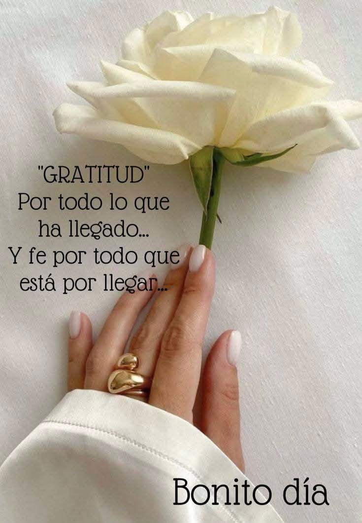BuenosDias,un café ☕ una cita bíblica 📘 y una oración 🙏
¡Saname, Señor, quedaré Sano, sálvame y estaré a Salvo, porque tú eres mi alabanza!(Je.17,14) Señor no desvíes mi suplica y escucha mi oración. Tú eres mi manantial de agua viva.  #FelizViernes #PazYBien🌞☕🙏