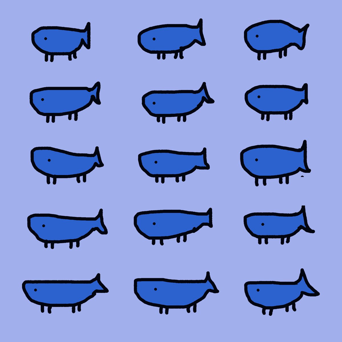 Whales Are Real 🧡 #AFL 🐋