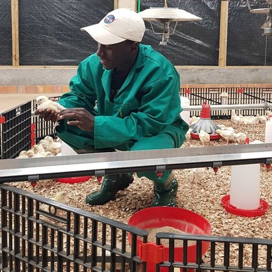 Pacifique DUSABIMANA👨‍🌾 tweet media