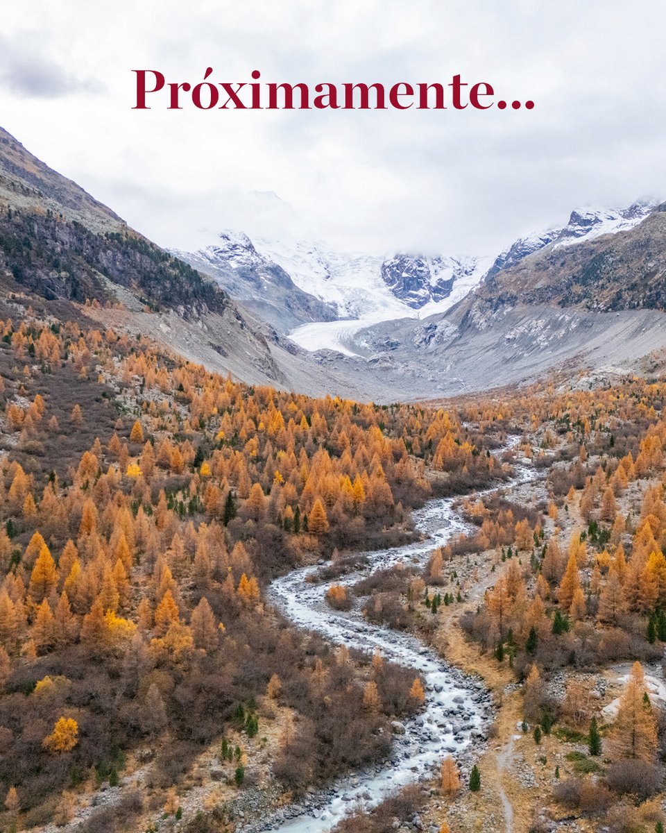 NHCollectionES's tweet image. Próxima apertura en los Alpes... 🏔️❄️ Prepara tus sentidos para una experiencia única entre montañas. ¡Muy pronto, un refugio lleno de encanto te estará esperando! ✨ ​

#NHCollection #NHCollectionExperience #Nuevaapertura #LosAlpes