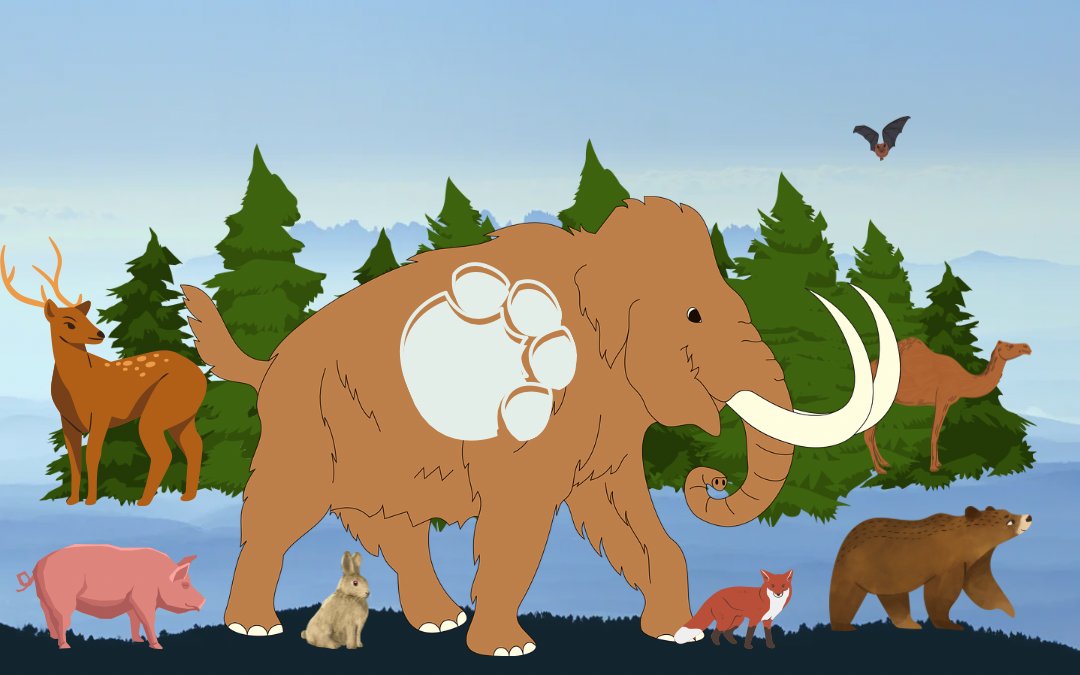 Ipswich Museums tweet media