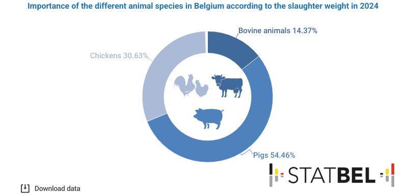 In 2024, 809,000 bovine animals, 310.5 million poultry and 9.4 million pigs were slaughtered. In terms of weight, pigs account for the largest share (54%). 

ℹ️➡️ statbel.fgov.be/en/themes/agri…  #Statbel