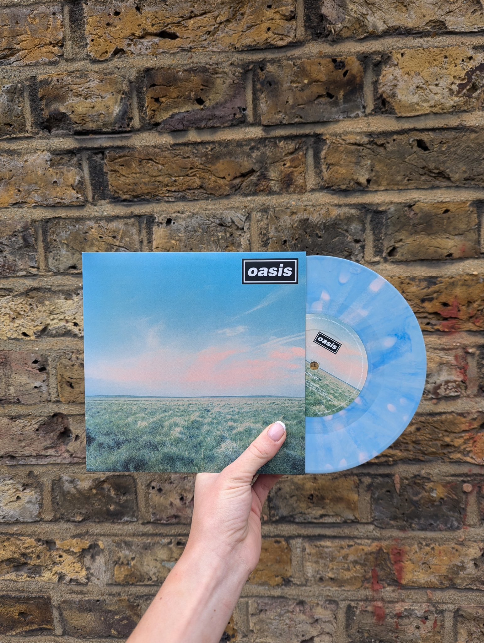Oasis on X: 