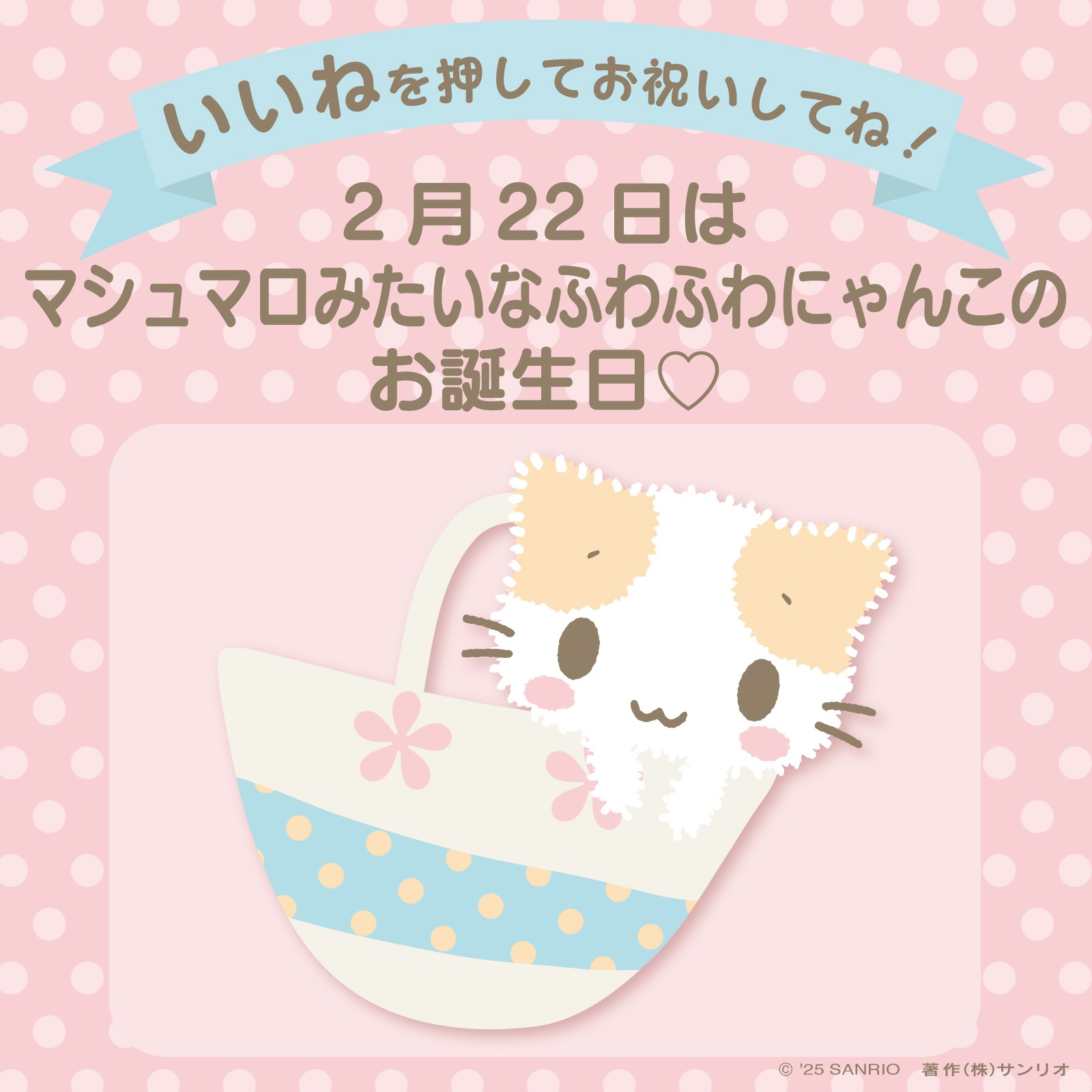 ノラネコランド マシュマロみたいなふわふわにゃんこニャニィニュニェニョン まとめ サンリオねこの会デザインシリーズ｜サンリオ