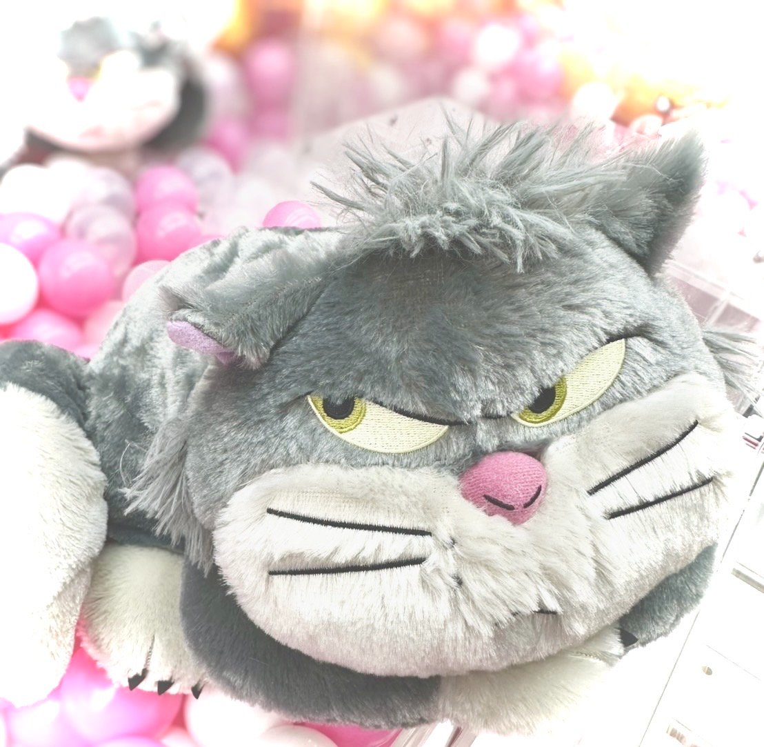 新着景品情報】 シンデレラ LLぬいぐるみ ルシファー ルシファーの