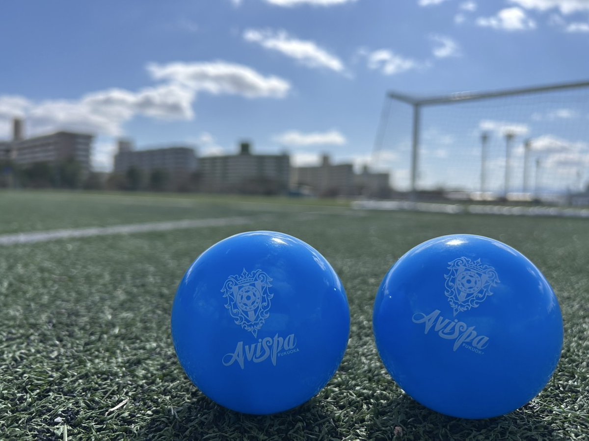 アビスパ福岡 サイン入りサッカーボール Size2 大変貴重 94年