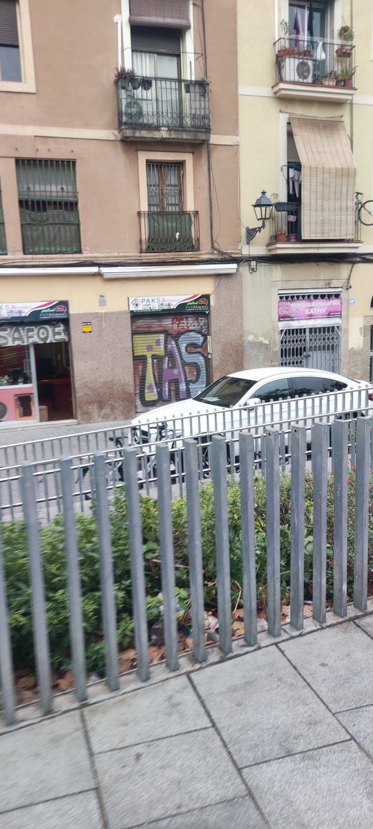 Ravaldream tweet media