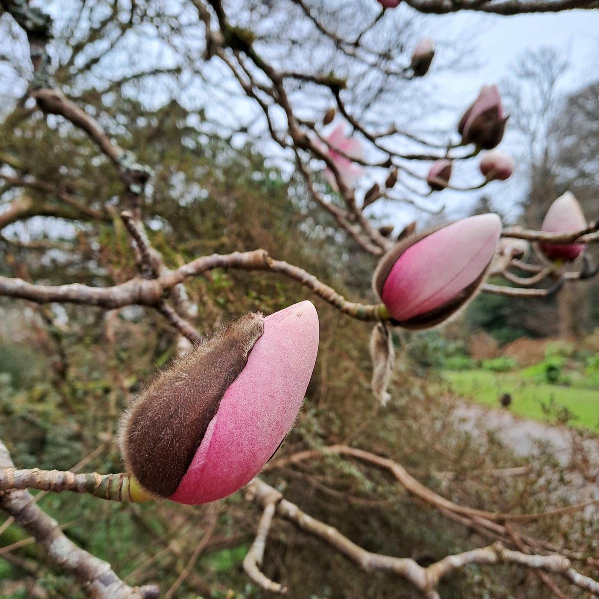 National Trust South West tweet media