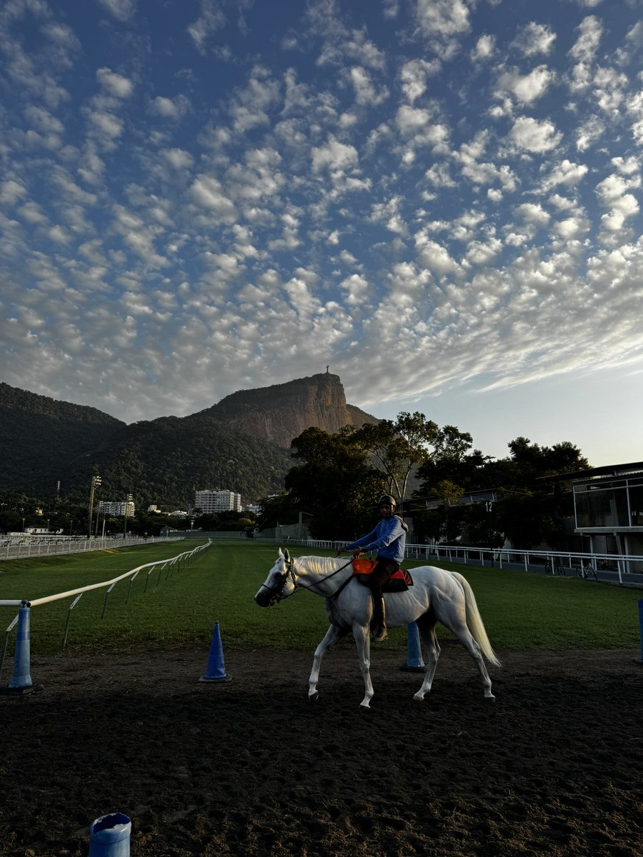 CSVET's tweet image. 