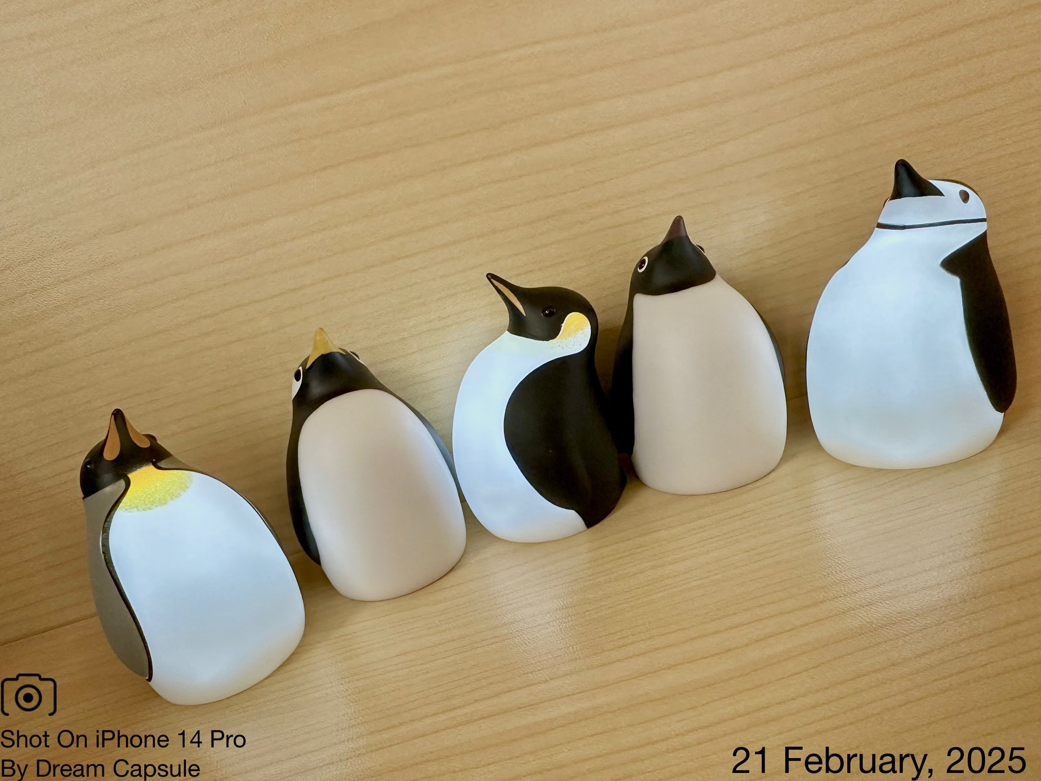 開発中]ほんのり光るかわいいペンギンライト | midonos