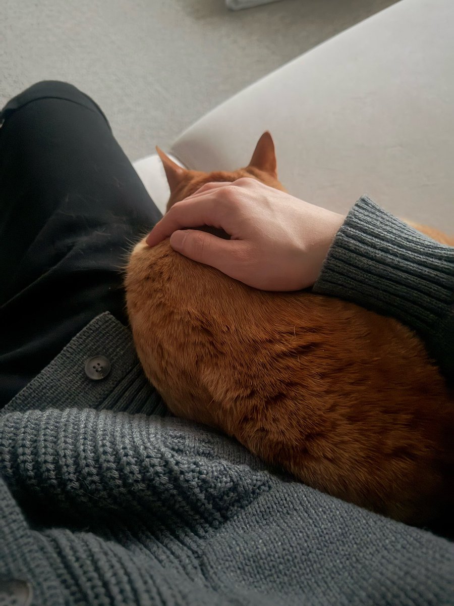 linotexts's tweet photo. 250221 ✧ 6:24 pm

[picture]

the big tonkatsu is sleeping https://t.co/c6KNJQzW2n