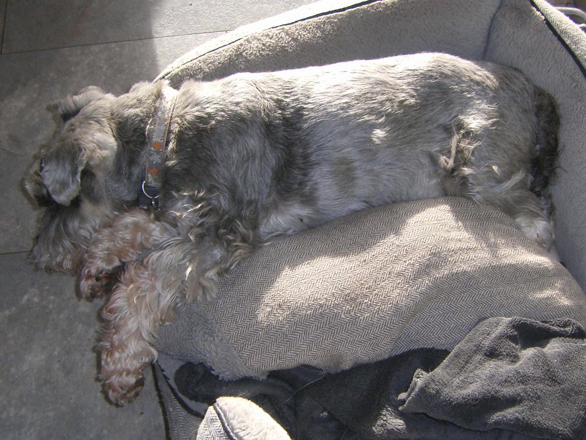 Ann Rayner tweet media