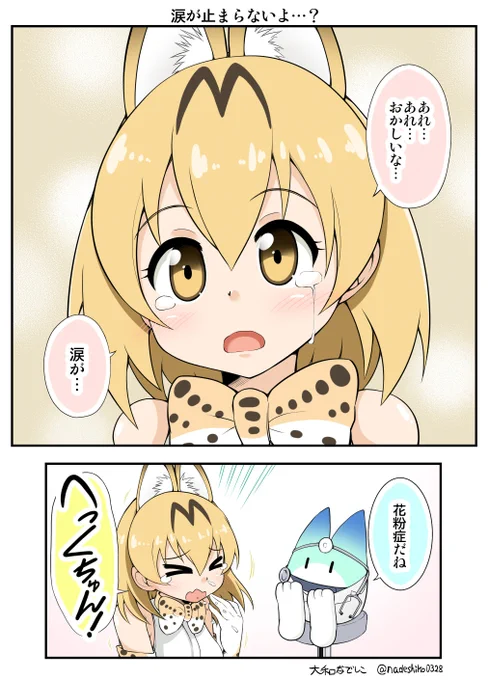 この季節がやってきた… 