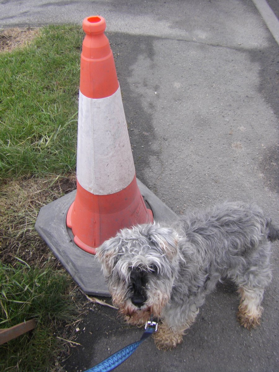 Ann Rayner tweet media