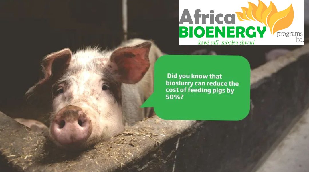 Incorporate bio-slurry into your animal feeding routine for poultry, fish and pigs, you will be providing essential nutrients to your livestock. Contact us today to learn how to optimize waste management on your dairy farm and improve the nutritional quality of your animal feeds.