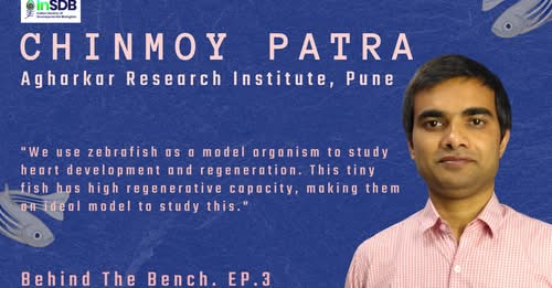 The growing burden of cardiovascular diseases and myocardial infarction in India calls for innovative approaches to treatment and prevention. Research using zebrafish as a model organism offers promising avenues for understanding heart regeneration and potentially developing