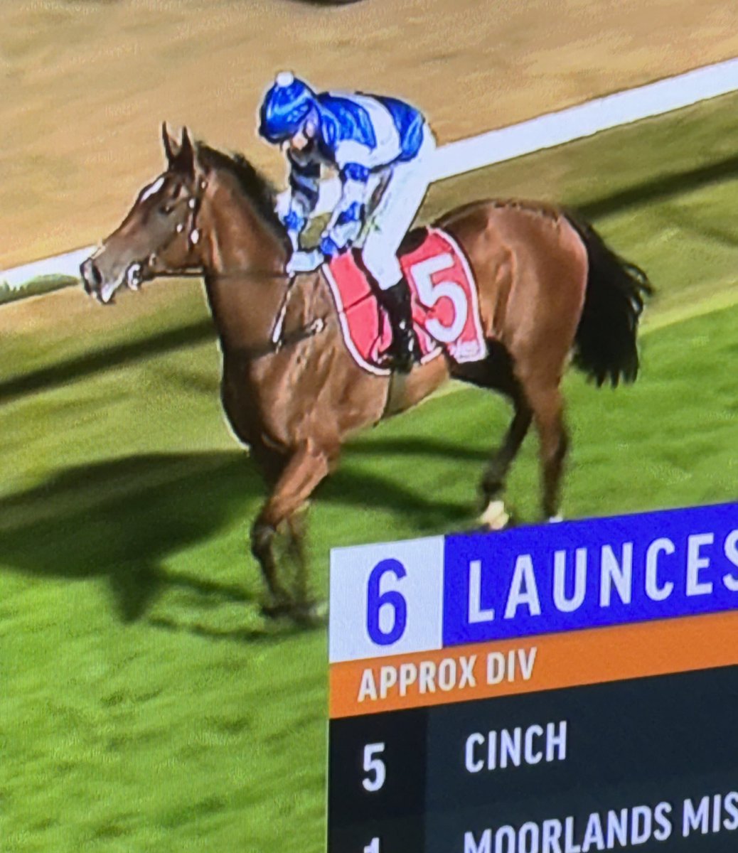 Caroline (@carosearcc) on Twitter photo Great result for <a href="/FairviewPark/">Fairview Park Stud</a> winning the Tasmanian Oaks with Cinch (Dundeel), half sister to Golden Slipper winner Mossfun!! What a broodmare is Eye For Fun! (Snitzel) Congrats <a href="/lindsayparkrace/">Lindsay Park Racing</a> 👏👏❤️🐎🥂 Great result for <a href="/FairviewPark/">Fairview Park Stud</a> winning the Tasmanian Oaks with Cinch (Dundeel), half sister to Golden Slipper winner Mossfun!! What a broodmare is Eye For Fun! (Snitzel) Congrats <a href="/lindsayparkrace/">Lindsay Park Racing</a> 👏👏❤️🐎🥂