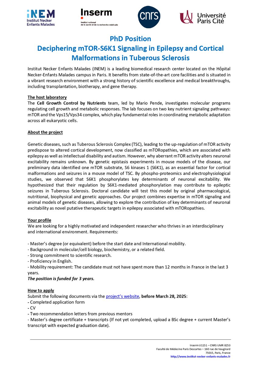 INEM NECKER (@neckerinem) on Twitter photo 🎓 PhD Positions in mTOR Signaling & Disease
We’re recruiting 2 PhD candidates as part of the <a href="/mentor_program_/">Mentor Program EU</a>, coordinated by <a href="/MarioPende/">Pende Mario</a>.
🔬 Project 1: S6K1/S6K2 in cell size & metabolism
🧠 Project 2: S6K1 & neuronal excitability in TSC
🔗 Apply: institut-necker-enfants-malades.fr/index.php/en-g… 🎓 PhD Positions in mTOR Signaling & Disease
We’re recruiting 2 PhD candidates as part of the <a href="/mentor_program_/">Mentor Program EU</a>, coordinated by <a href="/MarioPende/">Pende Mario</a>.
🔬 Project 1: S6K1/S6K2 in cell size & metabolism
🧠 Project 2: S6K1 & neuronal excitability in TSC
🔗 Apply: institut-necker-enfants-malades.fr/index.php/en-g…