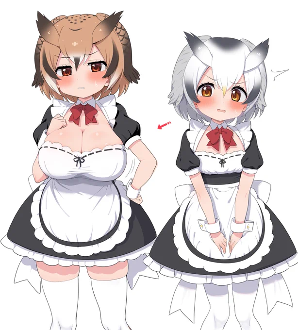 胸囲の格差 