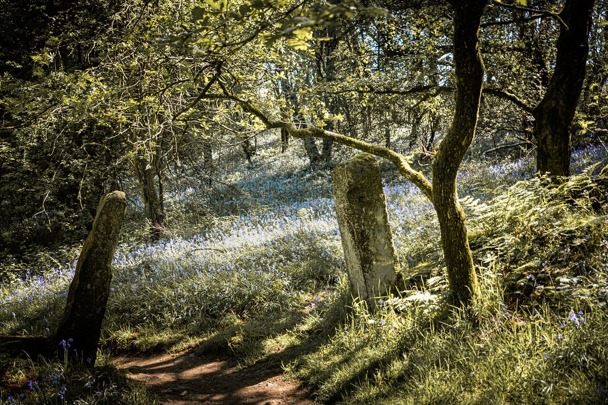 MattFinn's tweet photo. On a wet windy day like today, this scene from last spring comes to mind. https://t.co/tKtYmGYEym